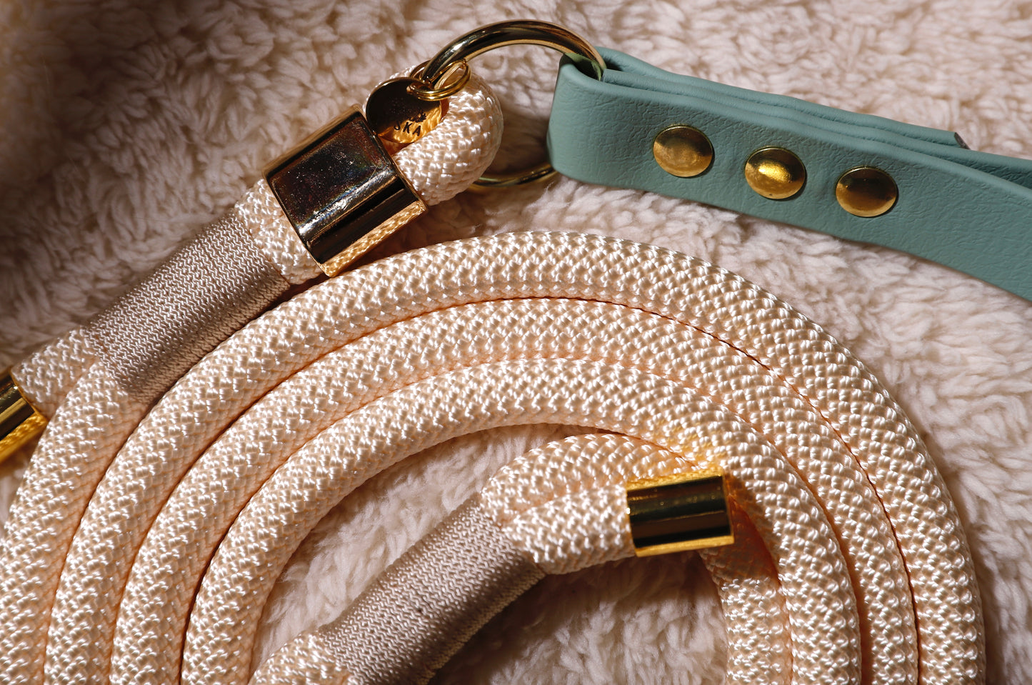 Laisse corde et biothane