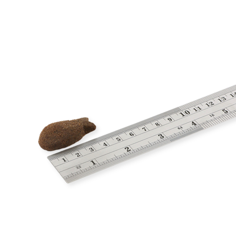 Fish4Dogs Support+ Peaux & Pelage - Bouchées au Maquereau 225 g