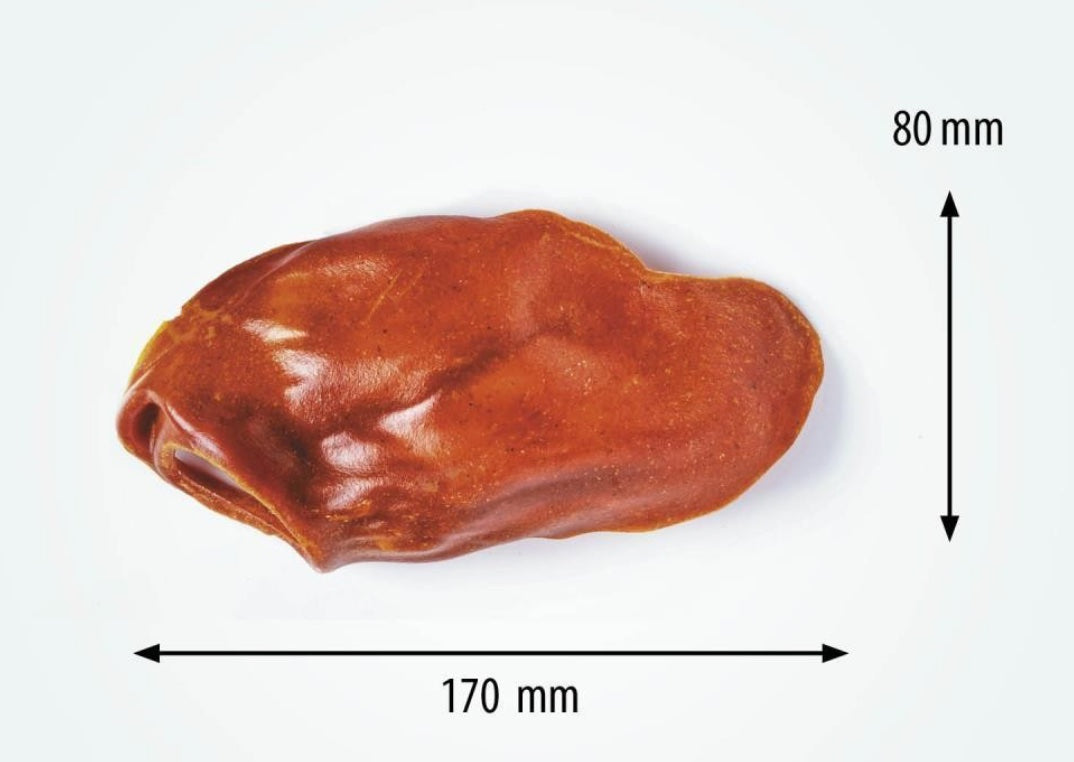 Dentax Oreille Large