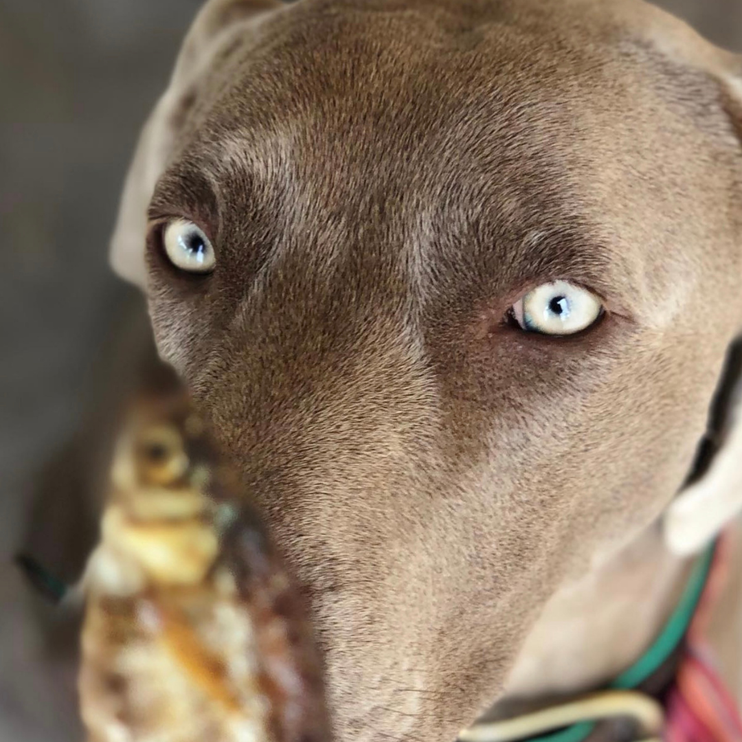 Parti à la pêche - Poisson séché à l'air