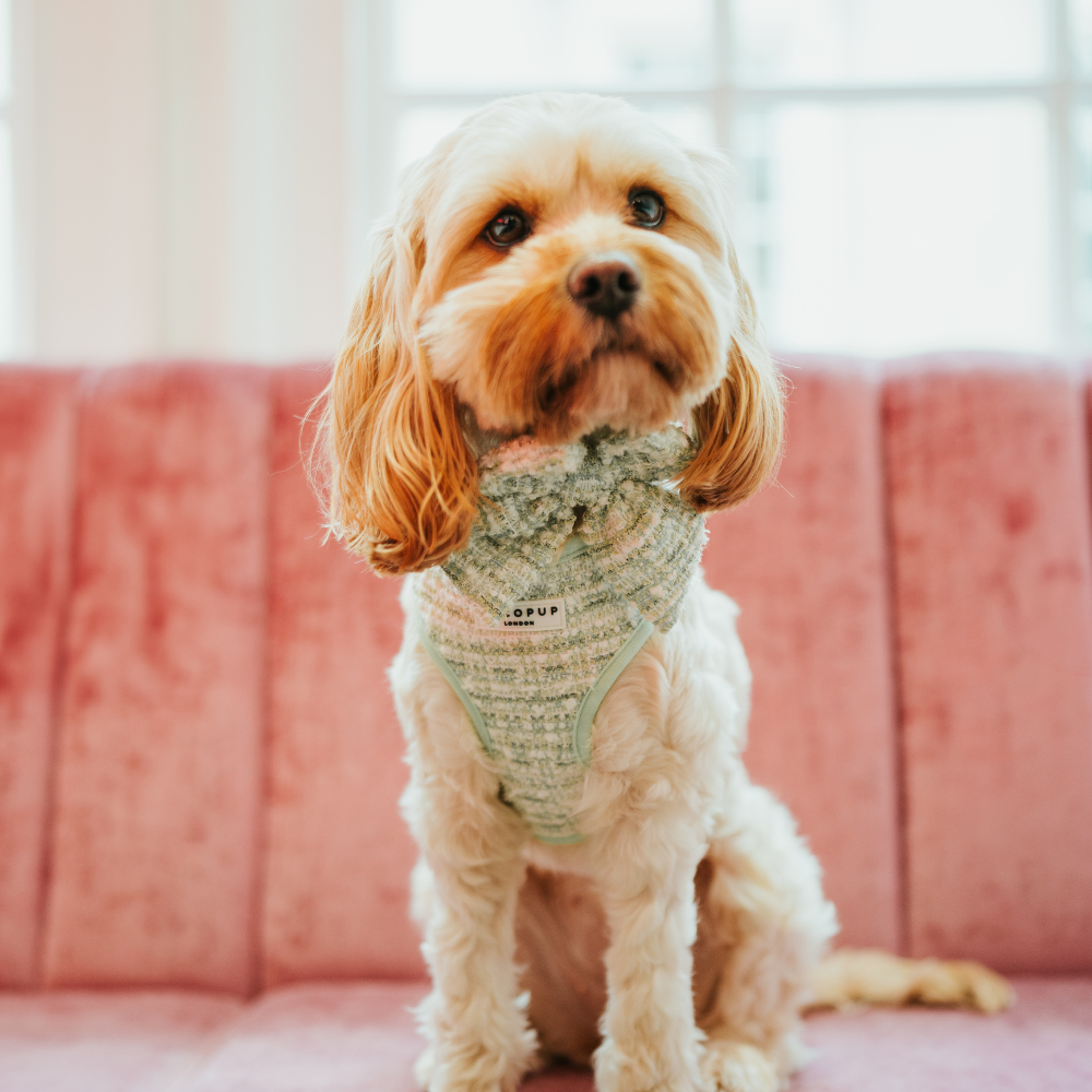 Nœud papillon marin en tweed texturé matcha