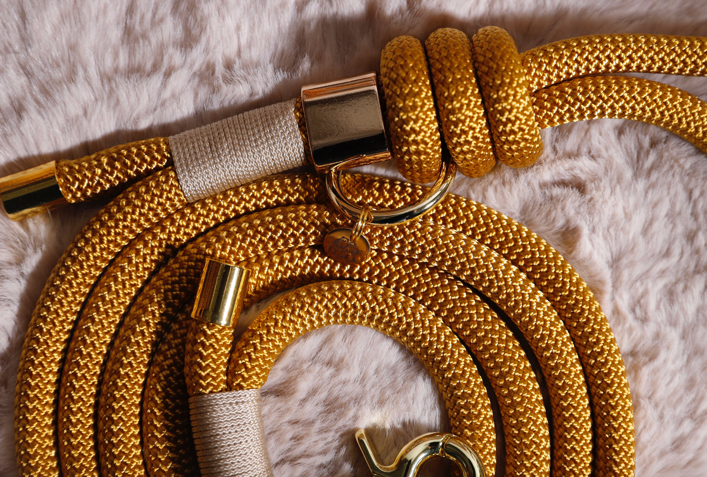 Laisse Jaune moutarde