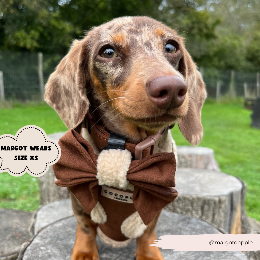 Nœud papillon Aviator Sailor marron