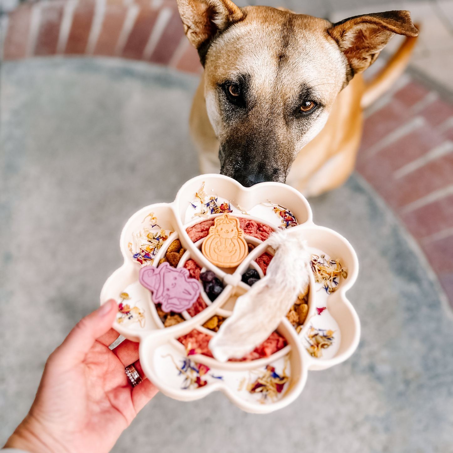 Amour Mangeoire Lente - Neige