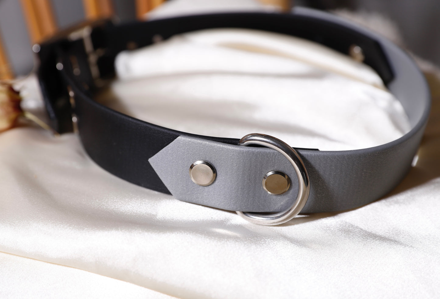 Ensemble collier laisse médaille