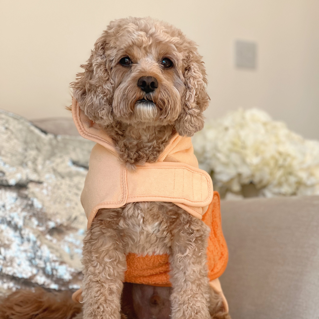 Peignoir de séchage Roary the Lion