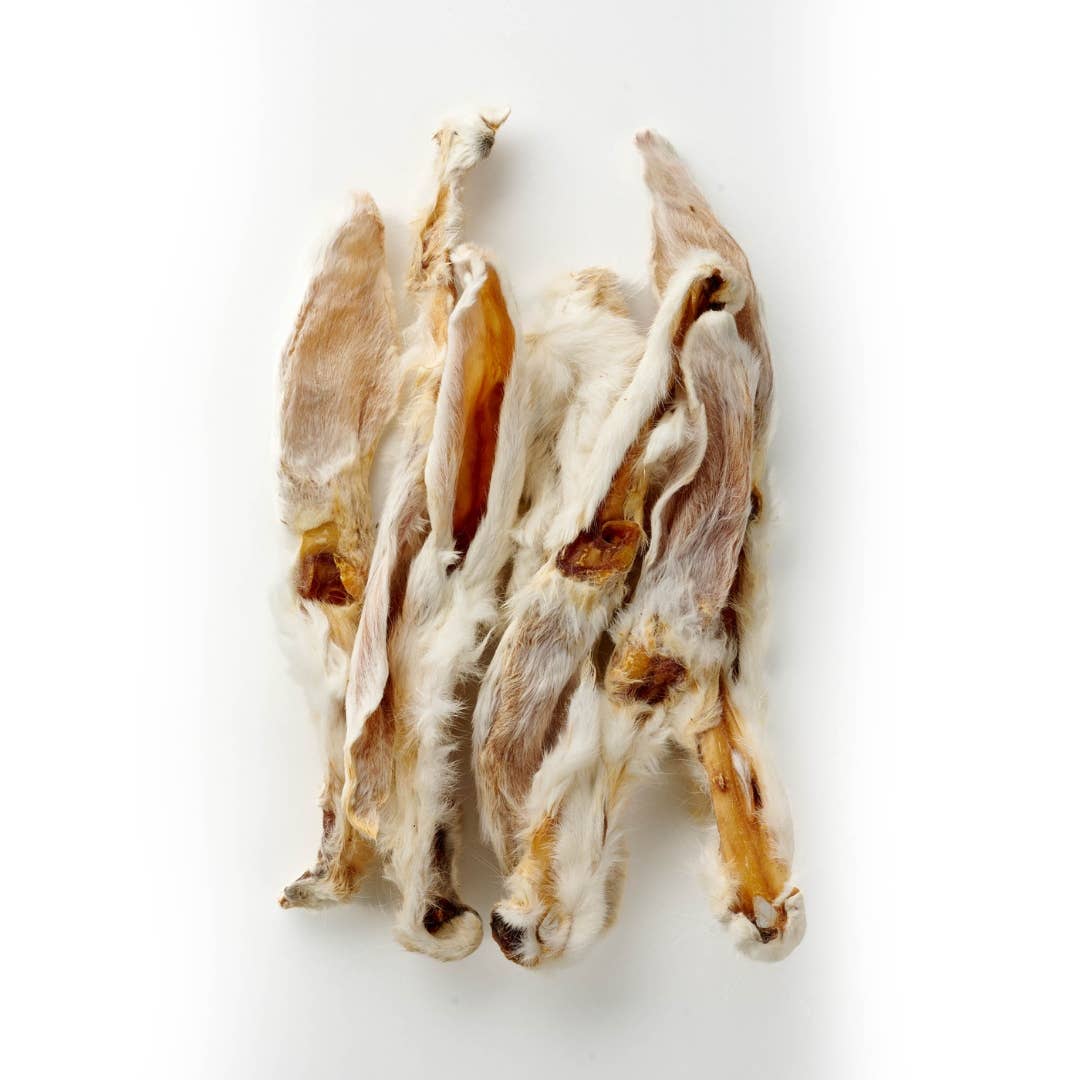 Oreilles de lapin avec fourrure de qualité premium