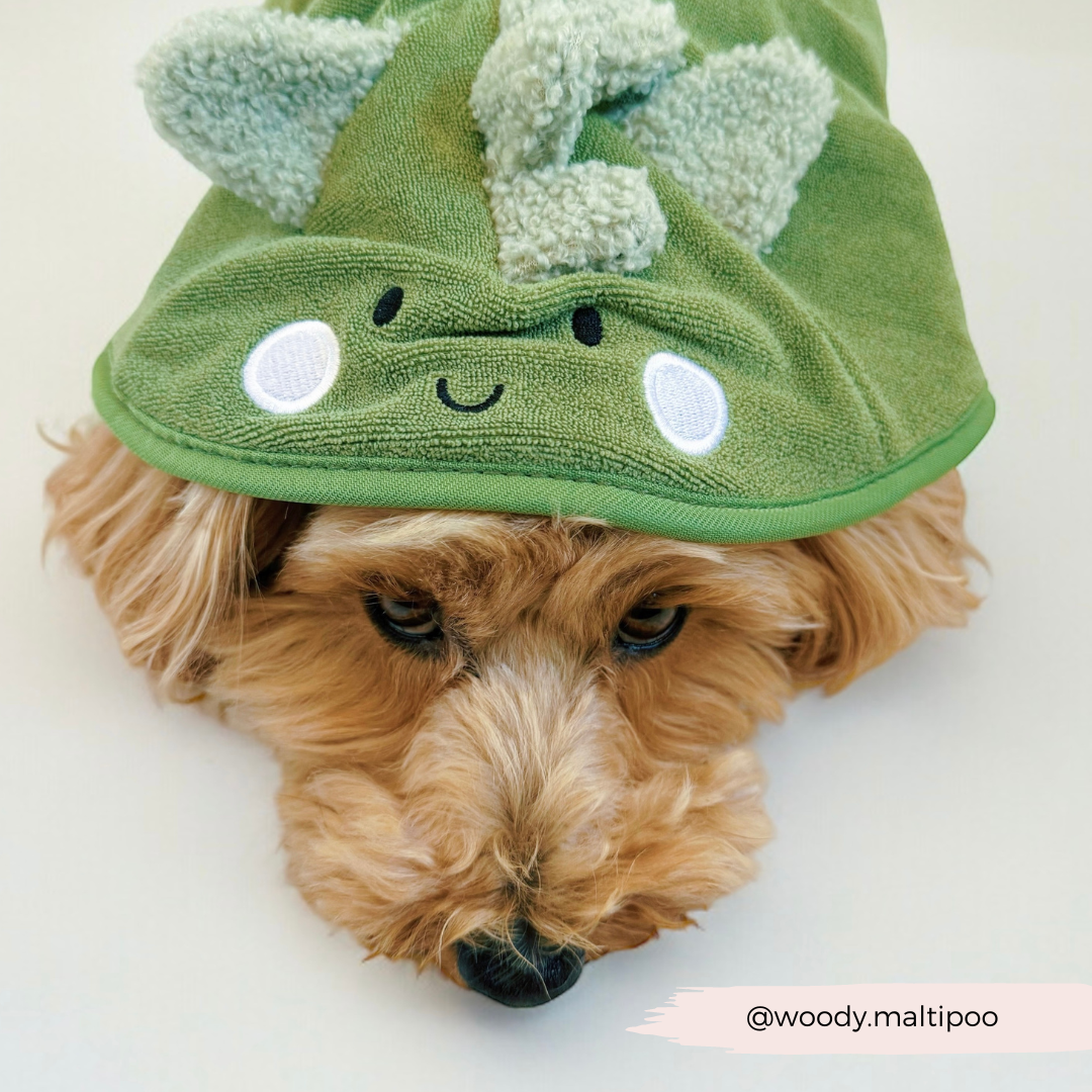 Peignoir de séchage Dinopup