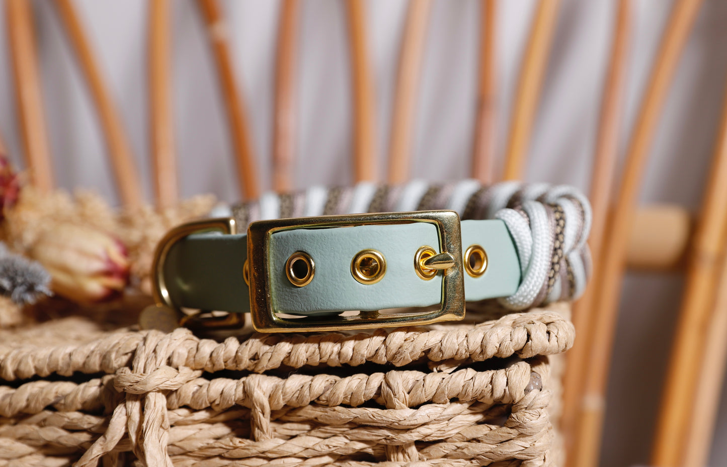 Collier biothane-paracorde Vert