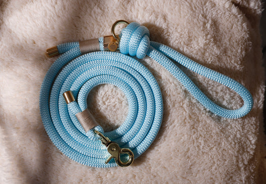 Laisse Bleu pastel