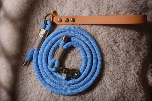 Laisse corde et biothane