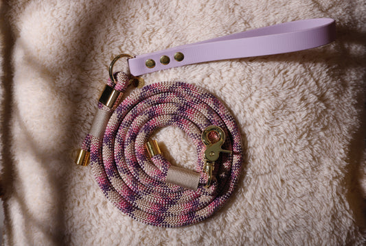 Laisse corde et biothane