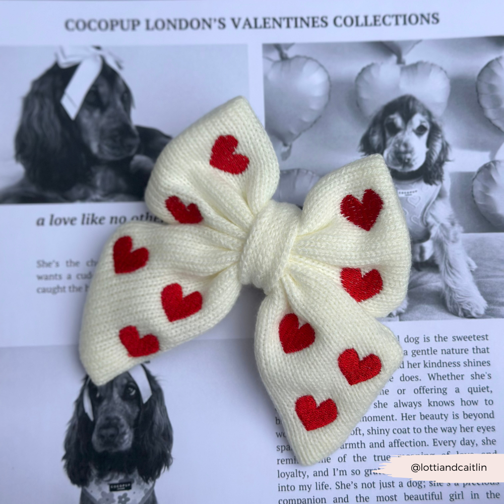 Câlins & Nœud Papillon Marin Tricoté