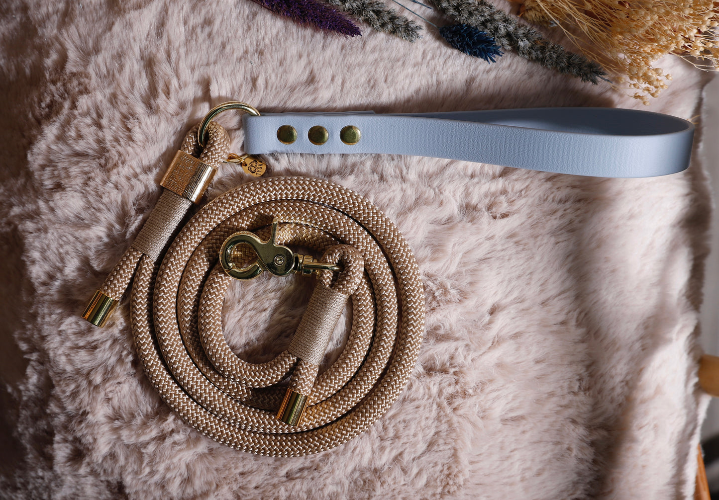 Laisse corde et biothane