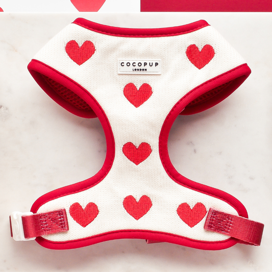 Harnais de Cou Tricoté Réglable