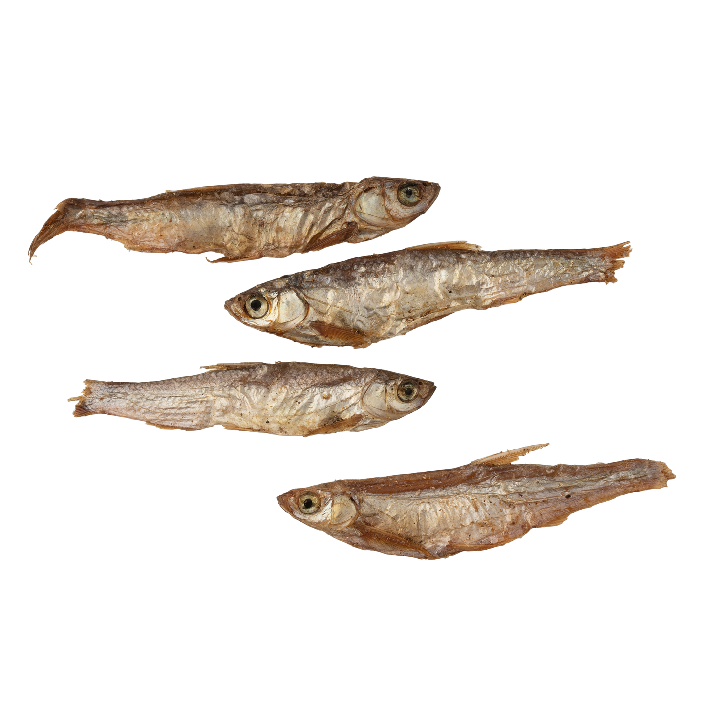 Parti à la pêche - Poisson séché à l'air