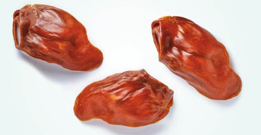 Dentax Oreille Large