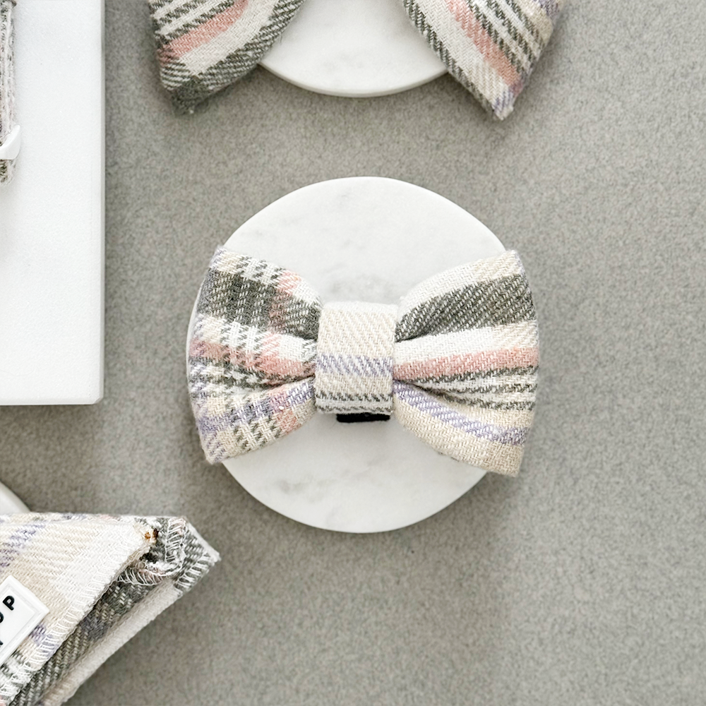 Noeud Papillon à carreaux de printemps