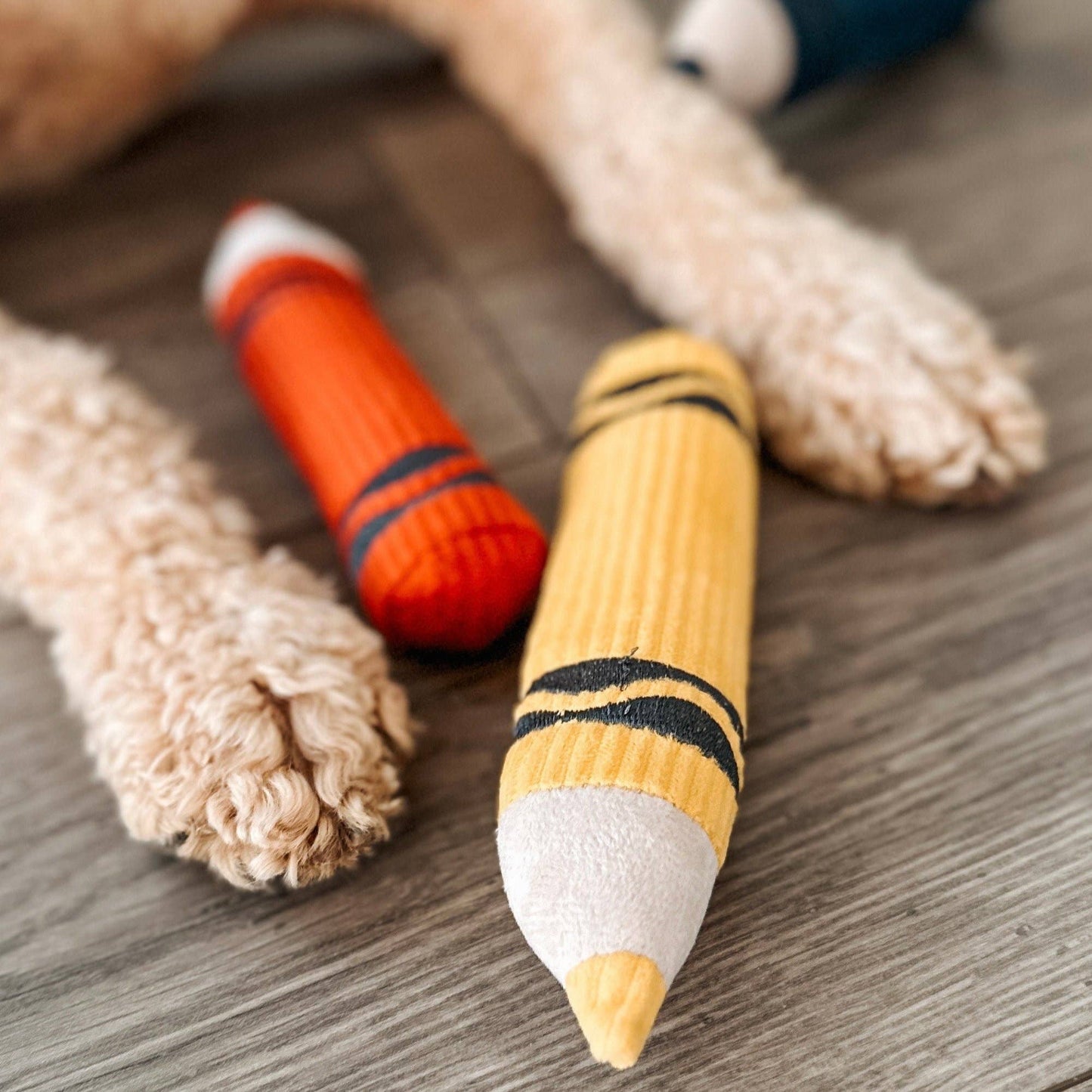 JOUET POUR CHIEN CRAYONS/ENRICHISSEMENT