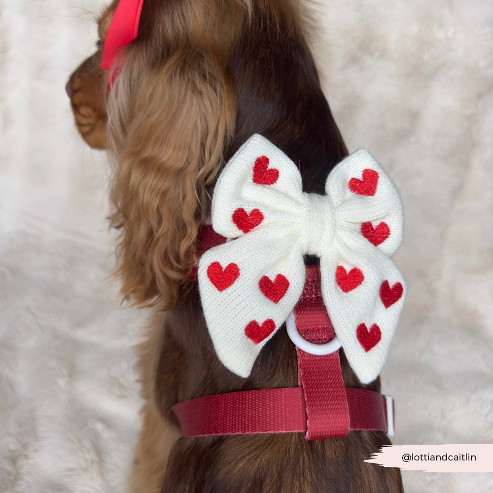 Câlins & Nœud Papillon Marin Tricoté