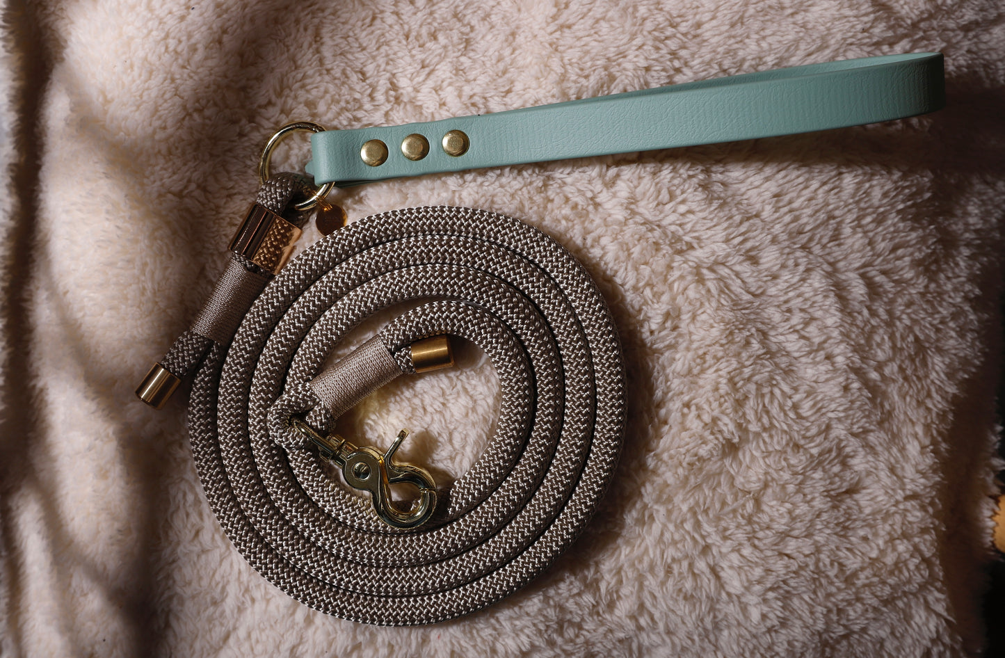 Laisse corde et biothane