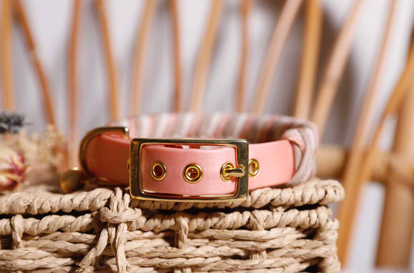 Collier biothane-paracorde Rose