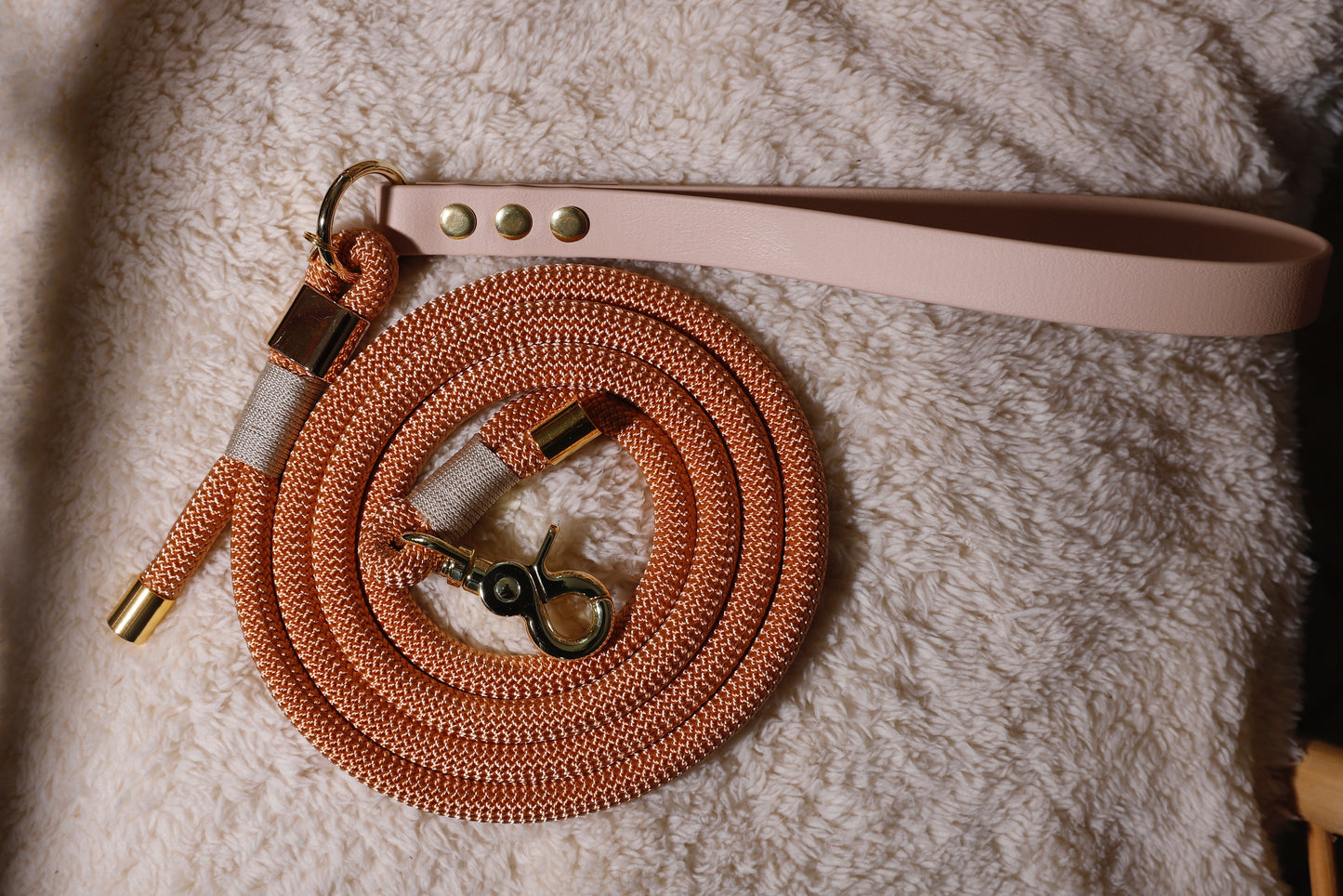 Laisse corde et biothane