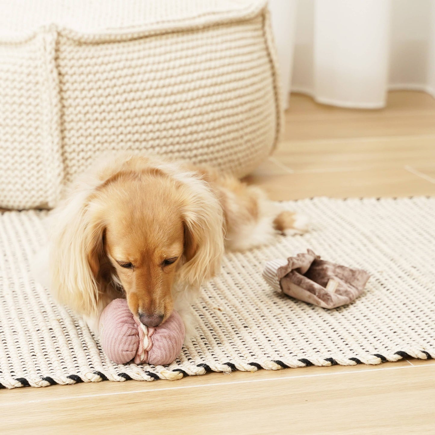 JOUET POUR CHIEN PETITE TWO/ENRICHMENT