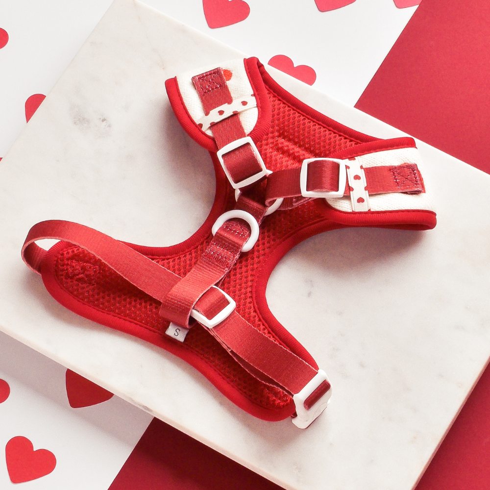 Harnais de Cou Tricoté Réglable