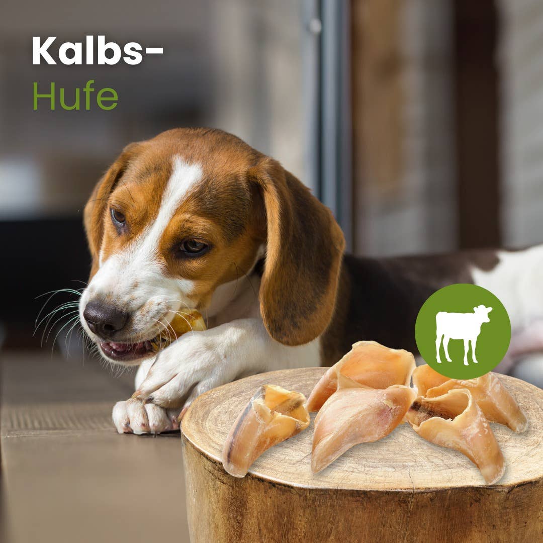 Sabot de veau naturels pour chiens
