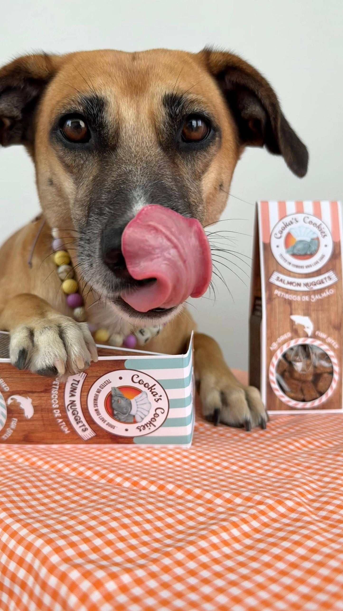 Bouchées de Thon - Morceaux Séchés à l'Air