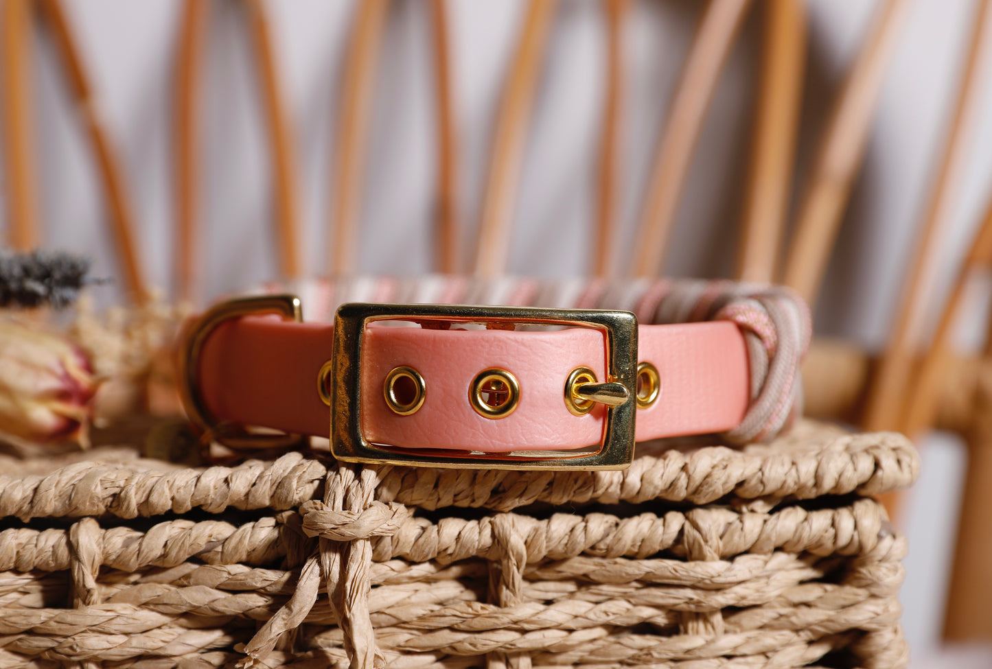 Collier biothane-paracorde Rose