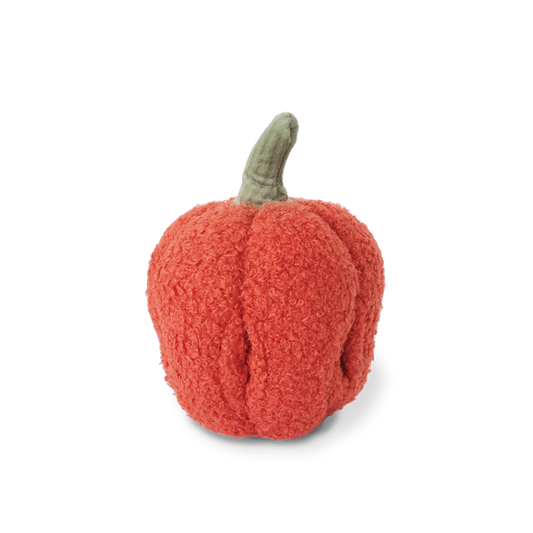 ENSEMBLE DE JOUETS POIVRON/ENRICHISSEMENT