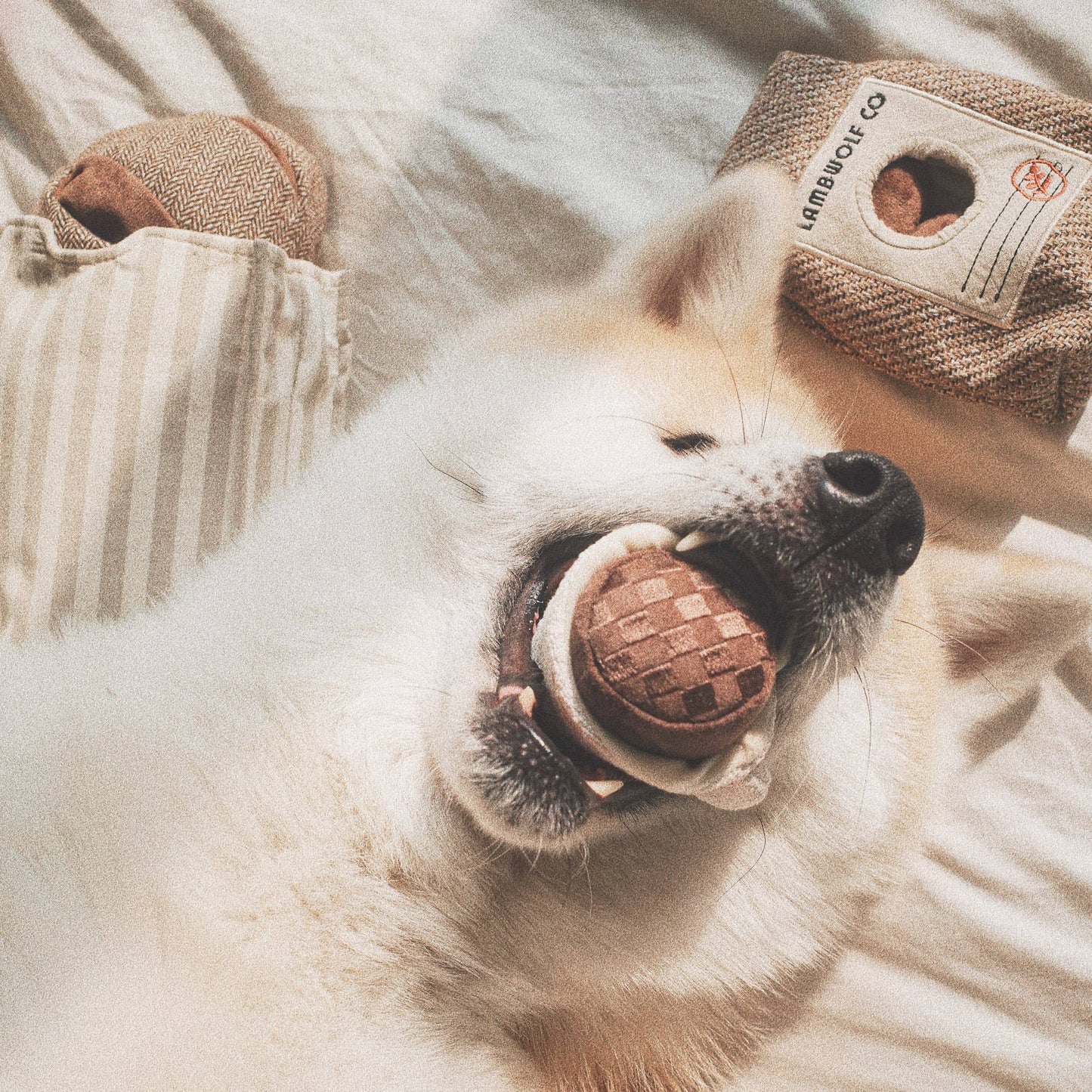 Peluche EXPRESSO POP