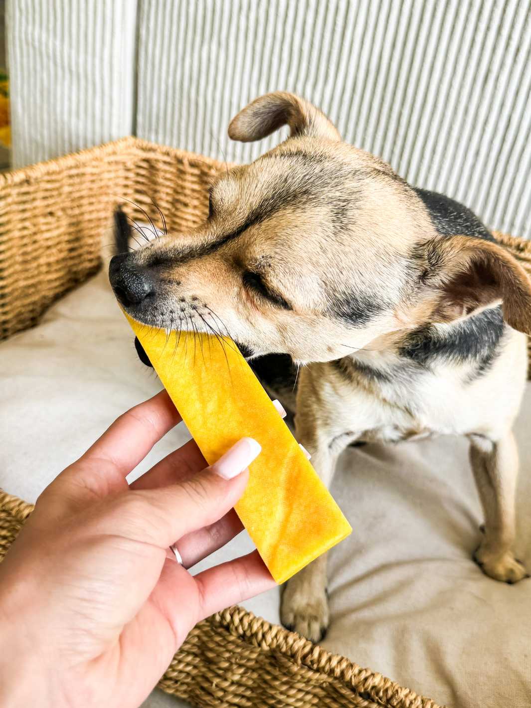 Fromage de yak aromatisé