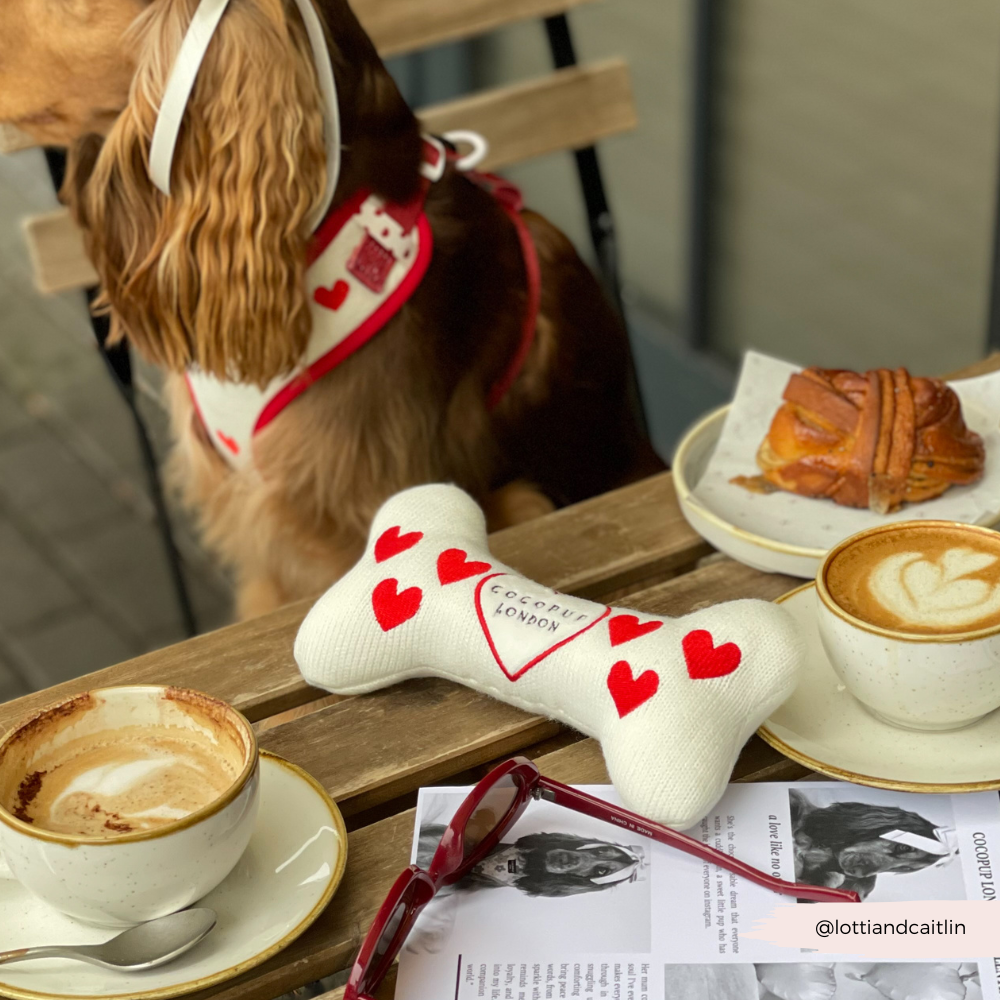 Câlins & Jouet en Tricot en Forme d'Os