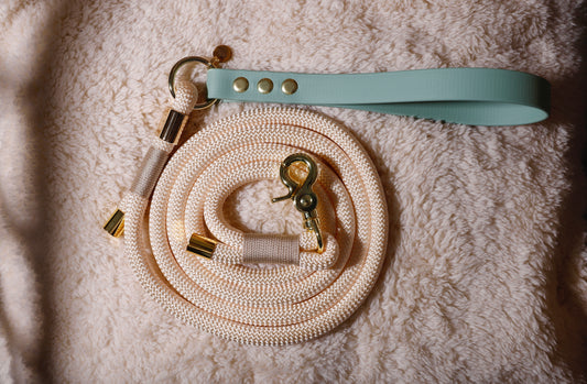 Laisse corde et biothane