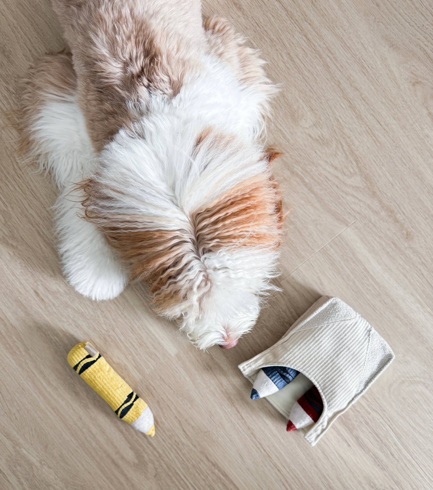 JOUET POUR CHIEN CRAYONS/ENRICHISSEMENT