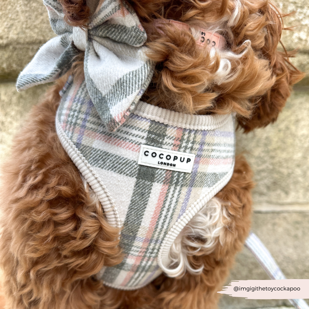 Nœud papillon marin à carreaux de printemps