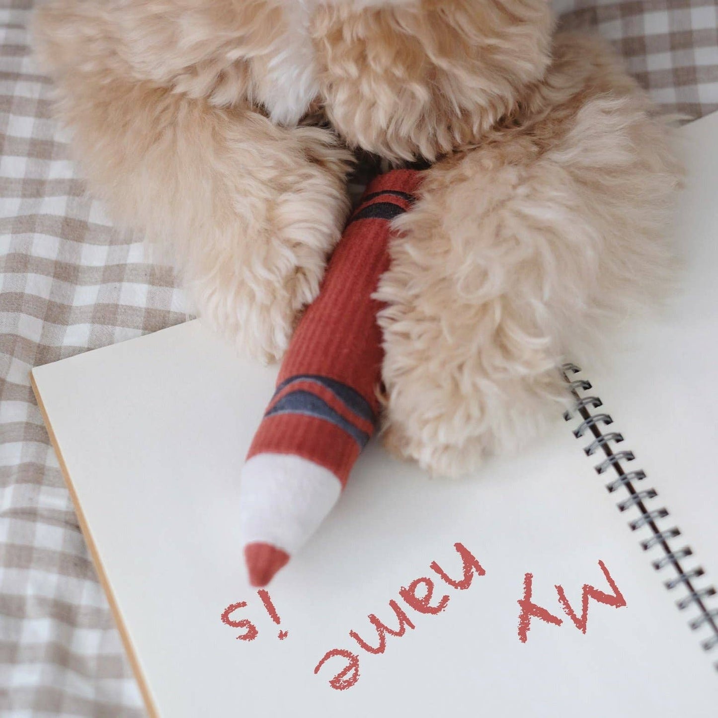 JOUET POUR CHIEN CRAYONS/ENRICHISSEMENT