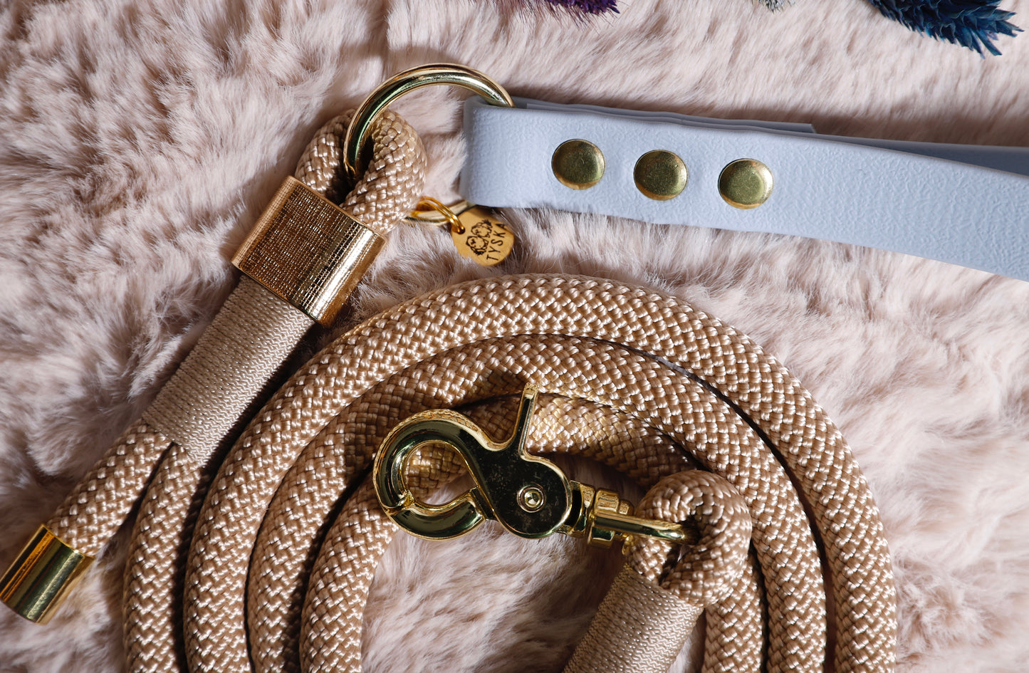 Laisse corde et biothane