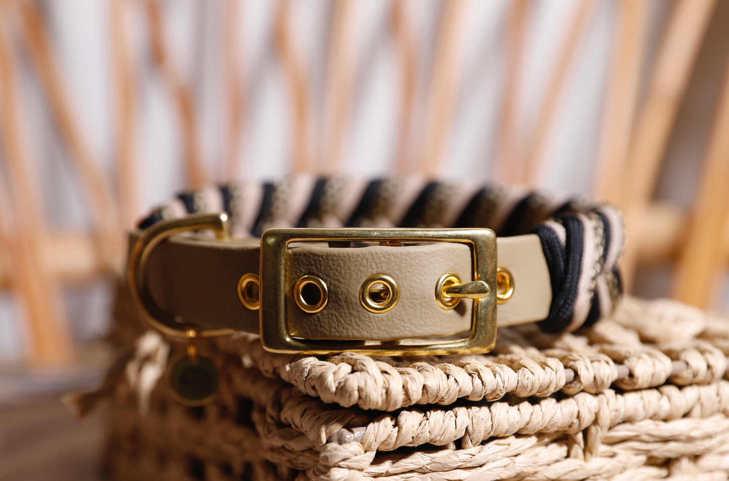 Collier biothane-paracorde