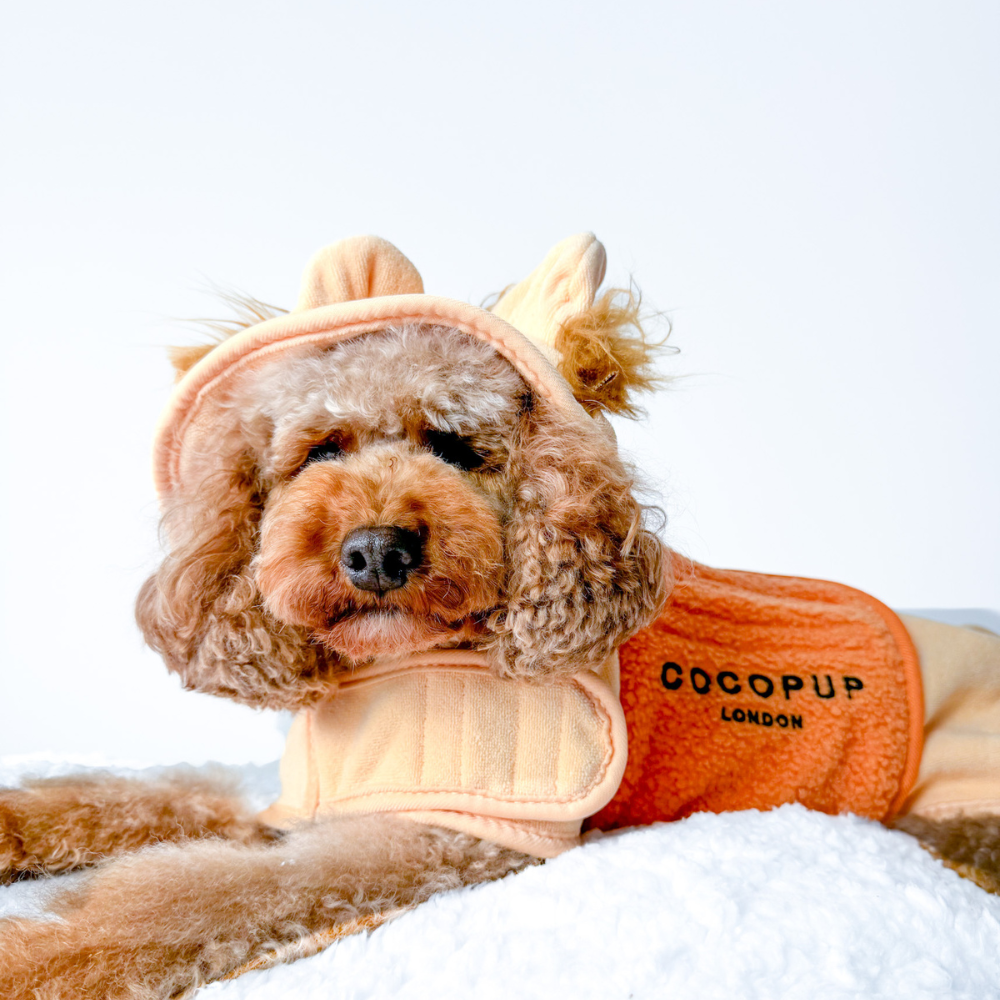 Peignoir de séchage Roary the Lion