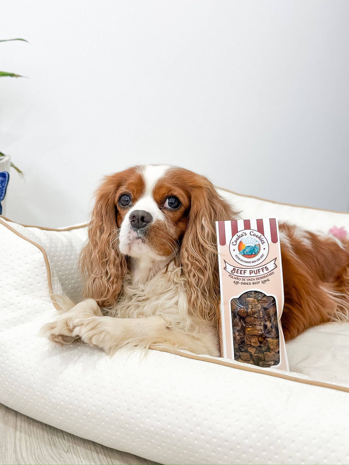 Bouchées de bœuf - Poumons séchés à l'air