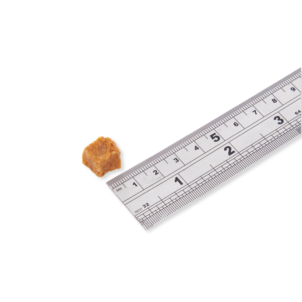 Fish4Dogs friandises de dressage au saumon pour adultes 80 g