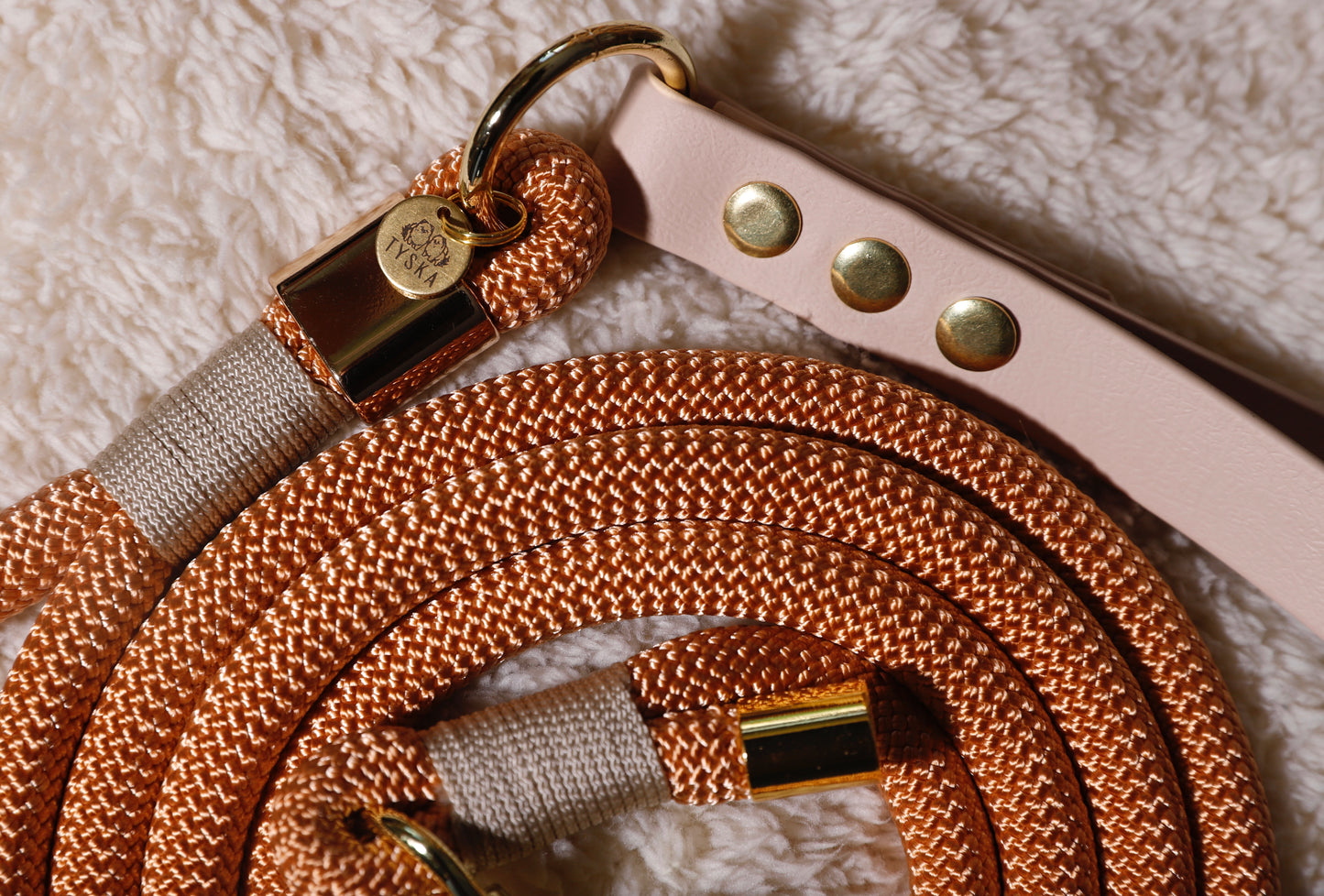 Laisse corde et biothane