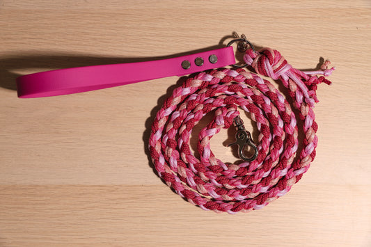 Laisse tressée full rose