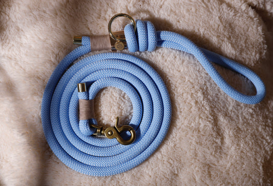 Laisse bleu polar