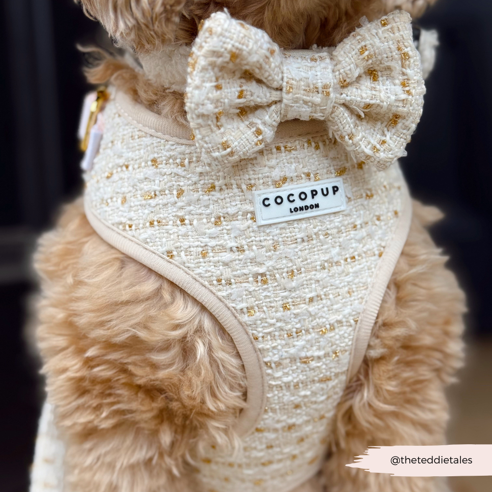 Nœud papillon en tweed texturé vanille