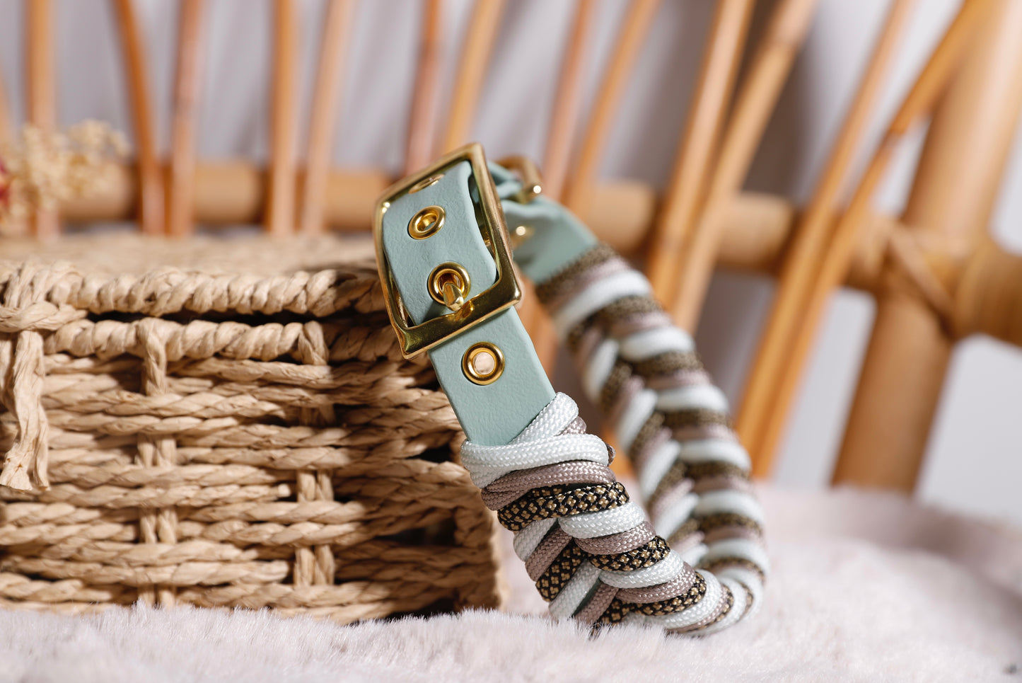 Collier biothane-paracorde Vert